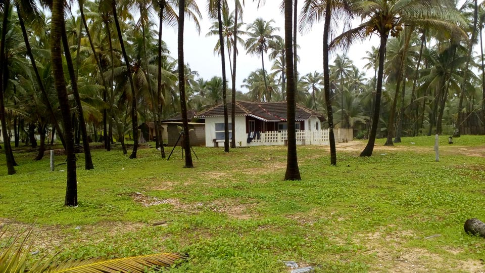 Beach Healing Home