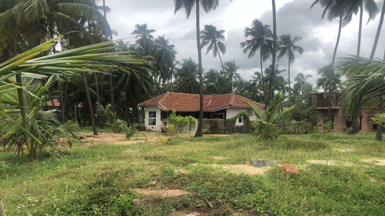 Beach Healing Home