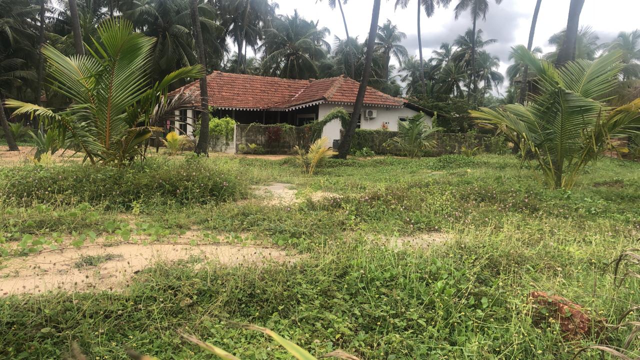 Beach Healing Home